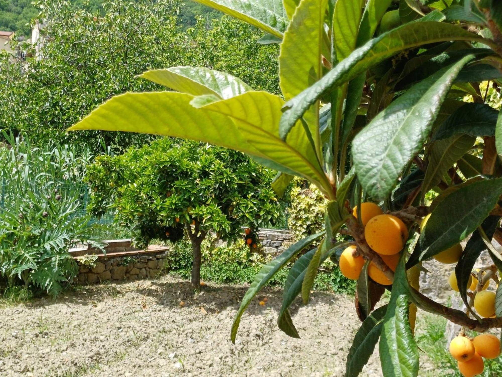Country House B&B Antica Dimora Del Sole 카메로타 외부 사진