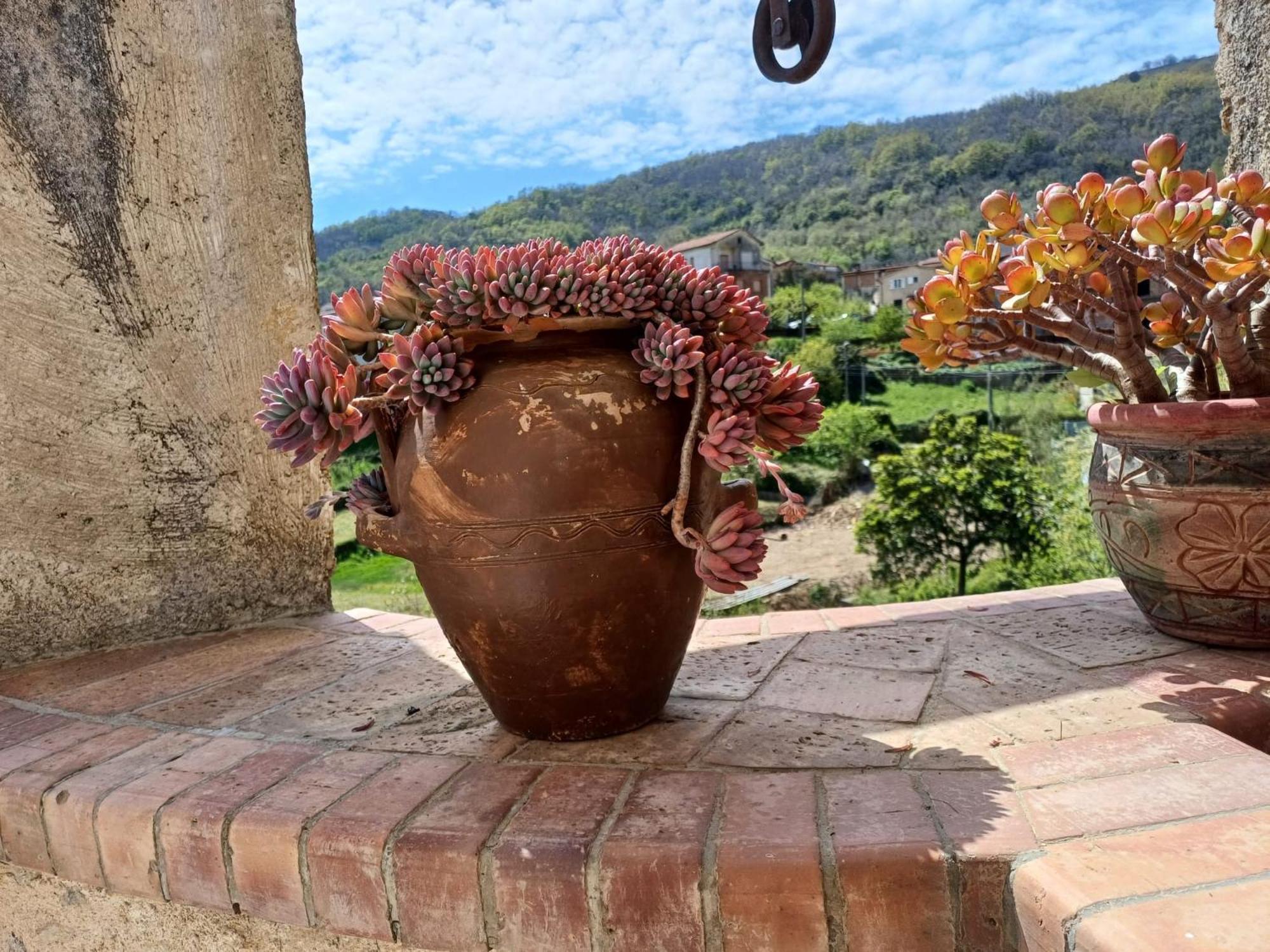 Country House B&B Antica Dimora Del Sole 카메로타 외부 사진